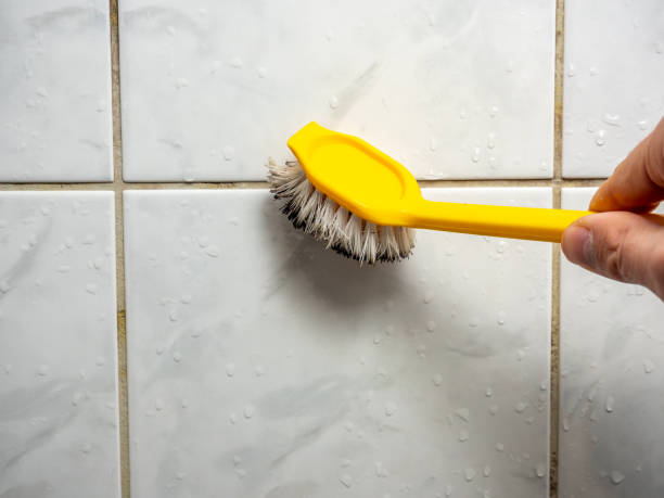 Best Basement Mold Remediation in Carlinvle, IL