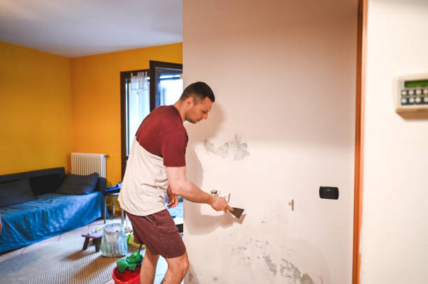 Best Bathroom Mold Remediation in Carlinvle, IL